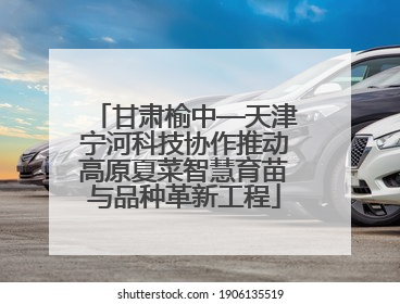 甘肃榆中—天津宁河科技协作推动高原夏菜智慧育苗与品种革新工程